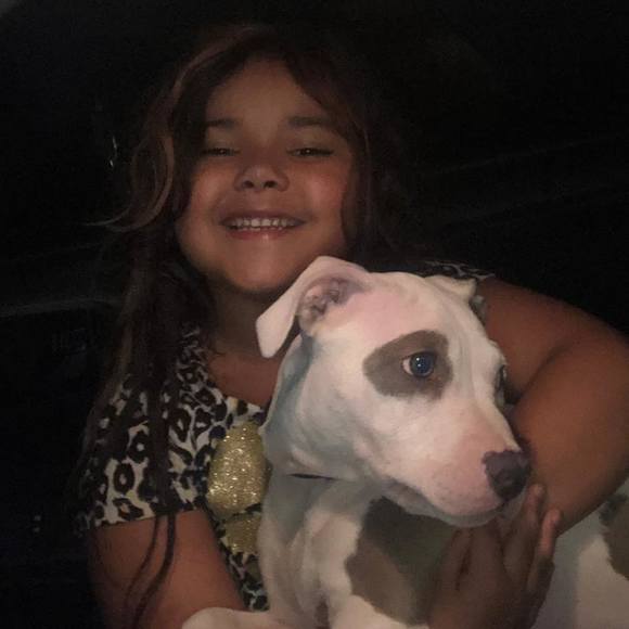 Meet your Posher, Larry - Picture 1 of 1